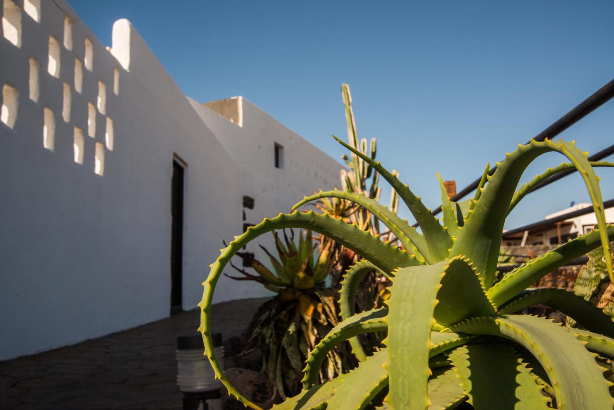 Casa Rural Finca Isabel Mozaga Dış mekan fotoğraf